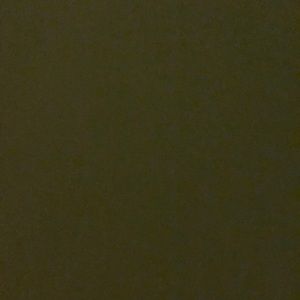 Meet your Posher, Gloria